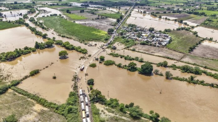 deccanherald_2025-09-22_s9skcfv8_file82g3kqbyu401f8c2g49t