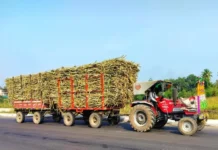 बेशिस्त ऊस वाहतूकदारांवर कारवाईचा बडगा; पोलीस ‘या’ गोष्टींची करणार तपासणी